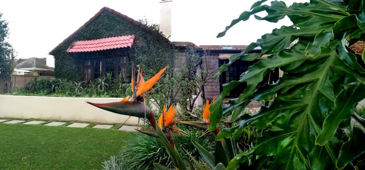 פורט אליזבת' Gardenview Guest House מראה חיצוני תמונה